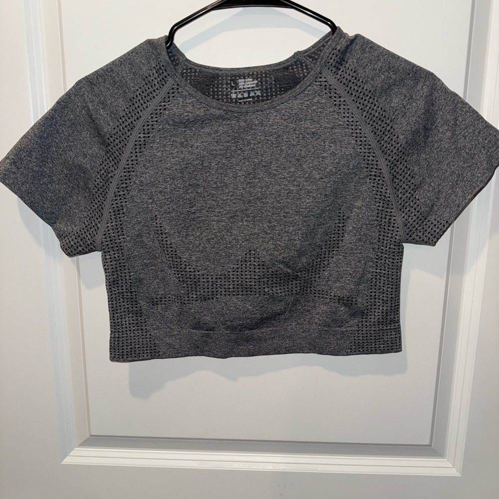 Gray Mesh Crop Top